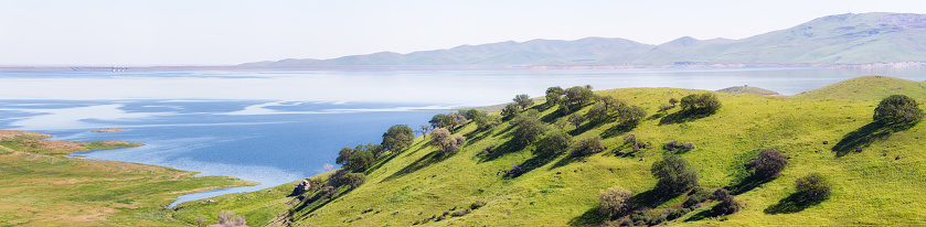 San Luis Reservoir panoramic view and Pacheko state park, California. Rolling hills with sparse trees can be seen in the foreground.