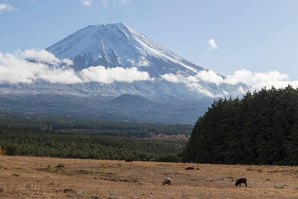 istock Mt.Fuji in autumn, Japan 474626330