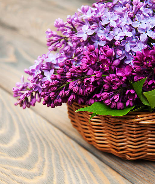 istock Basket with lilac flowers 474627098