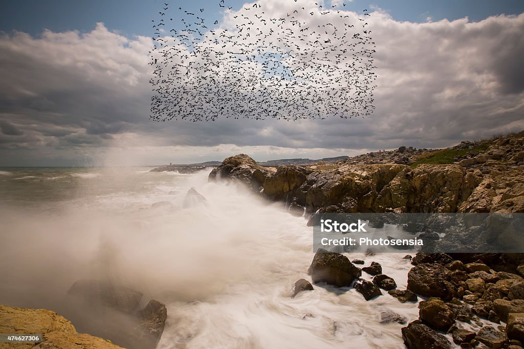 Wave Wave.. 2015 Stock Photo