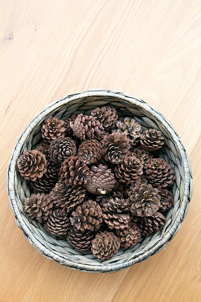 istock The cones ornament in woven bowl 474630032