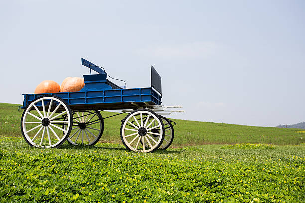 istock wagon full of pumpkins in farm 474630766