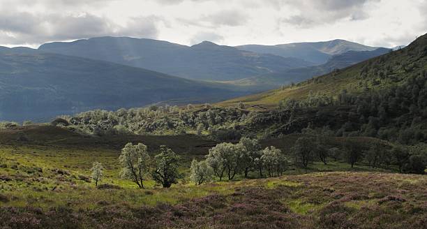 istock Creag Meagaidh National Nature Reserve 474632780