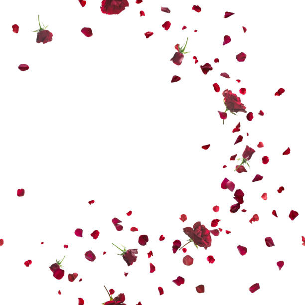 istock Seamless Red Roses Breeze on White 474640092