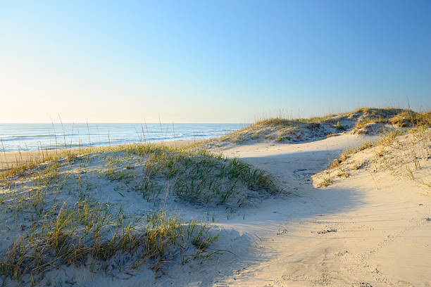 dunas de areia, luz do sol da manhã - sand sea oat grass beach sand dune - fotografias e filmes do acervo