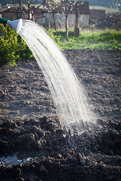 istock Spring watering of seeds in garden 474640806