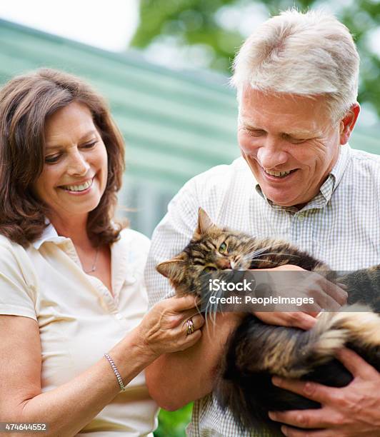 Hes Like A Member Of The Family Stock Photo - Download Image Now - Mature Couple, Domestic Cat, Holding