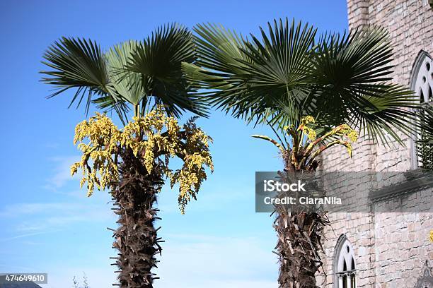 Church Stresa Parrocchia Di Carciano Abitazione Surrounded By Palms Stock Photo - Download Image Now