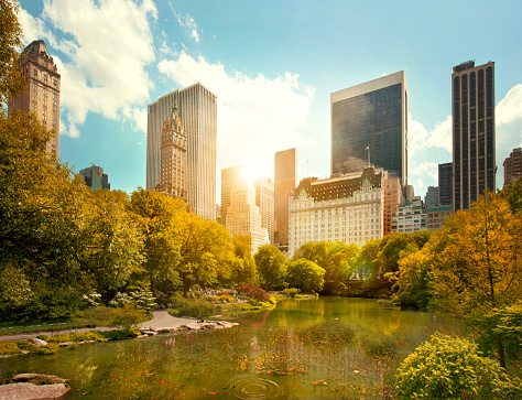 Central Park and Midtown Manhattan, NYC