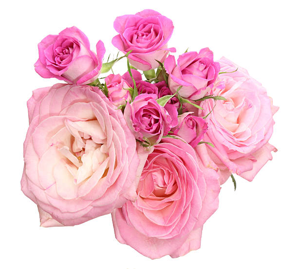 istock Bouquet of roses 474653398
