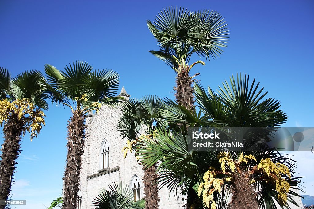 Church Stresa Parrocchia Di Carciano Abitazione surrounded by palms Church Stresa Parrocchia Di Carciano Abitazione surrounded by palms under blue sky 2015 Stock Photo