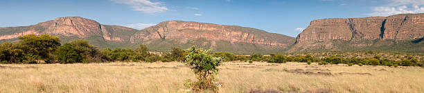 A panorama of the landscape on a safari destination in South Africa