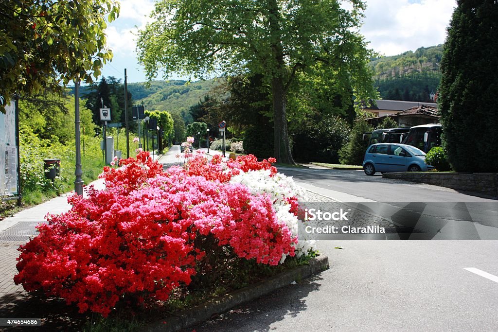 Stresa "Viale Lido" Motorboats Borromean Islands under blue sky Stresa "Viale Lido" Motoscafisti Borromean Islands under blue sky 2015 Stock Photo