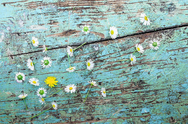 istock Spring Daisies and Dandelion on Wooden Table 474658004