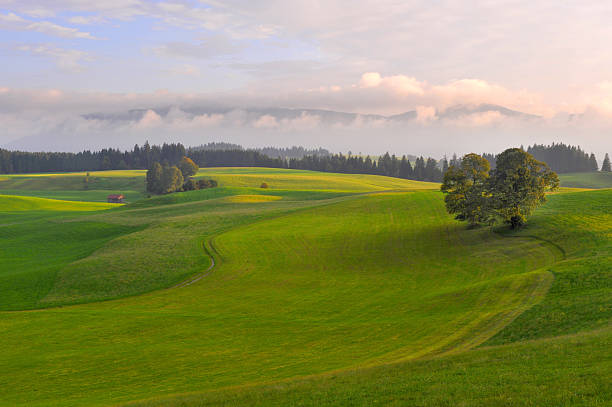 istock Sunset landscape. Countryside farm 474660458
