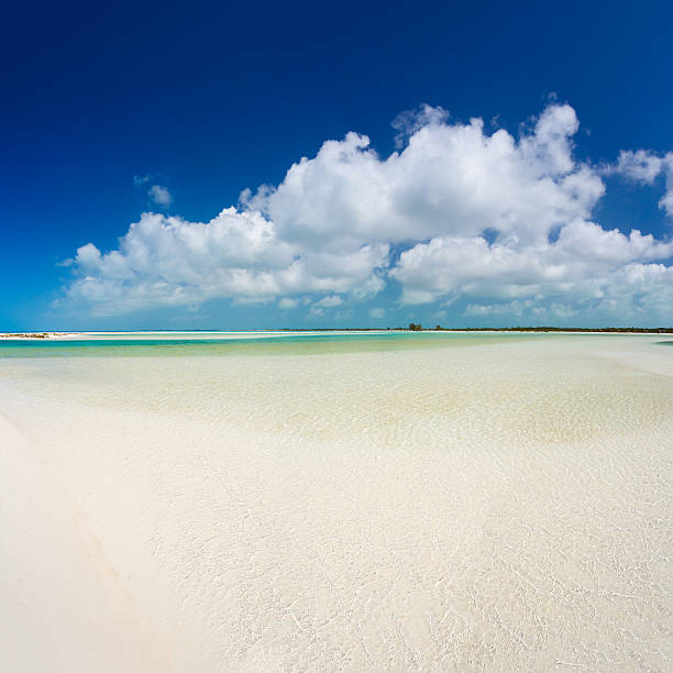 istock Paraiso beach in Cayo Largo island 474660580