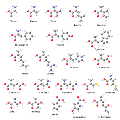 Amino acids -  main structural chemical formulas, 3d illustration on white background, balls & sticks style, vector, eps 8