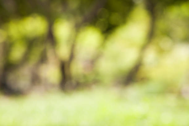 istock The Abstract Natural Bokeh,blurred bokeh. 474667678