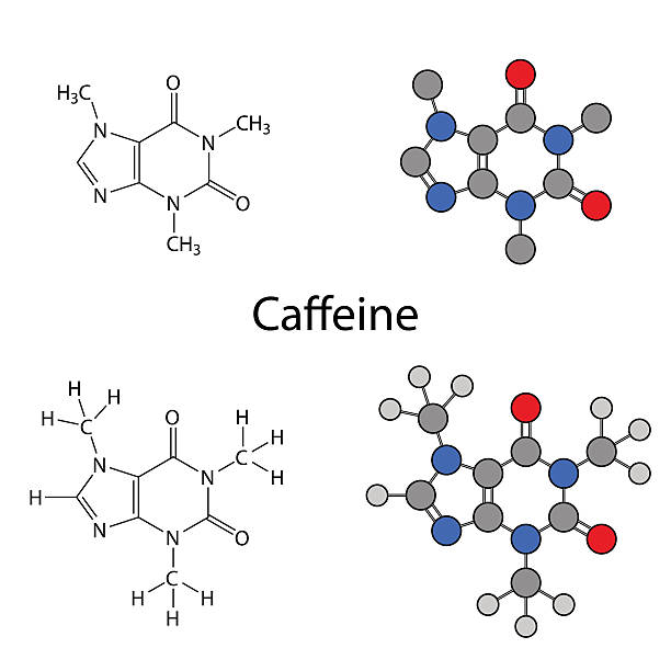 Caffeine molecule - structural chemical formulas and models Caffeine molecule - structural chemical formulas and models, skeletal & circles and sticks styles, 2d illustration, isolated on white background, vector, eps8 caffeine molecule stock illustrations