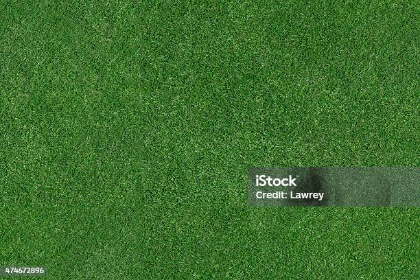 Grass Field Stock Photo - Download Image Now - Grass, Textured Effect, Textured