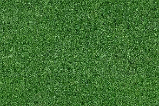 An aerial view of a large patch of some freshly cut, healthy, green grass.
