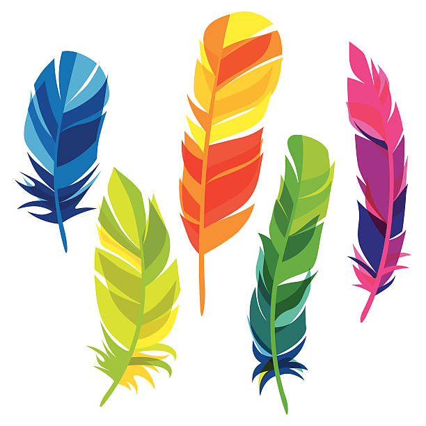 zestaw transparent tło jasne pióra na białym tle - feather stock illustrations