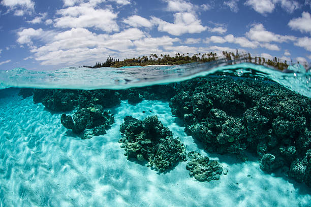 Clear Water and Tropical Island Clear seawater bathes a coral reef fringing a beautiful tropical island in the South Pacific. This specific island is Isle des Pins, located near New Caledonia. new caledonia photos stock pictures, royalty-free photos & images