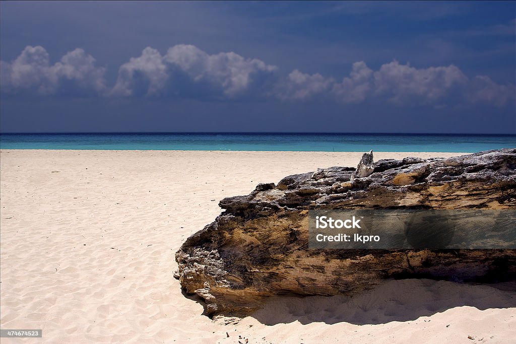 light beach mexico  coastline rock     summer light beach mexico  coastline rock  water  and summer Atlantic Ocean Stock Photo