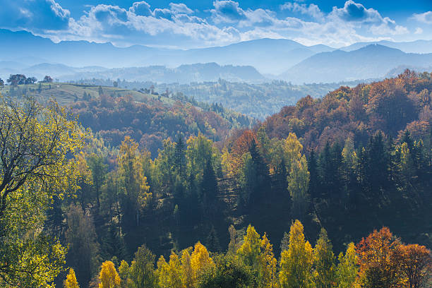 istock Beautiful autumn foliage in the mountains 474680759