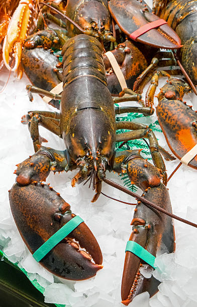 istock Lobster for sale at a market 474687384