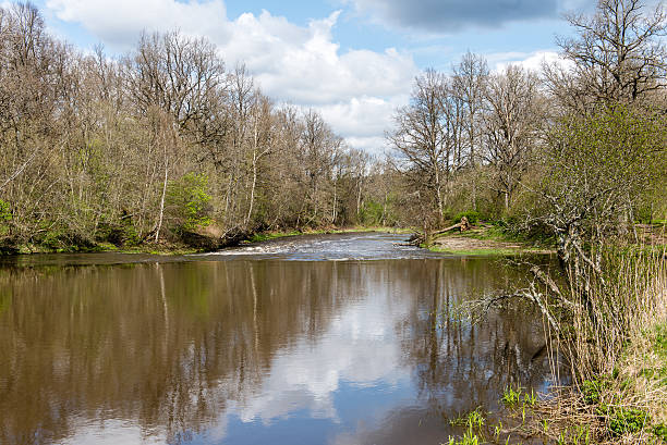 istock scenic reflections of trees and clouds in water 474689352