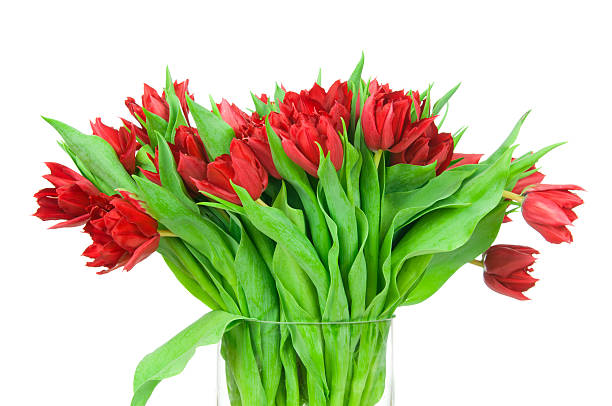 istock Tulips in the vase 474698016