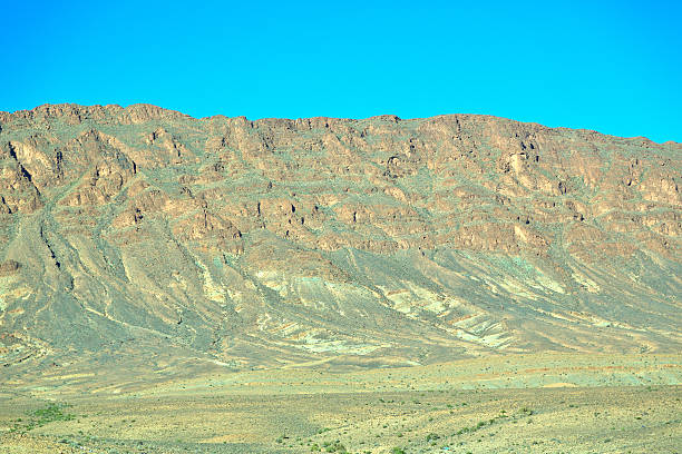 istock bush  in    valley  morocco     africa 474699780