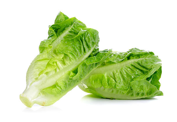 istock Lettuce isolated on the white background 474699928