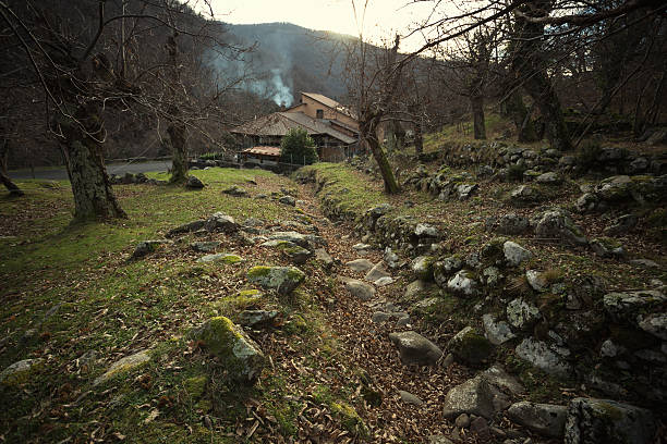 istock home in woodland 474700686