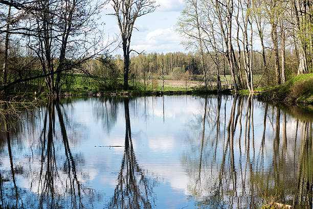istock scenic reflections of trees and clouds in water 474700822