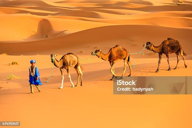 Young Tuareg With Camel On Western Sahara Desert In Africa Stock Photo - Download Image Now