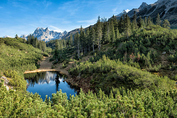 istock lake in the mountains 474702835