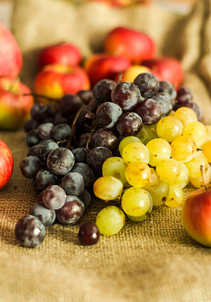 autumn grape, pomegranate and apple fruits on wool background stock photo