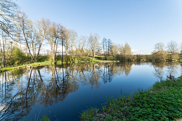 istock scenic reflections of trees and clouds in water 474705922