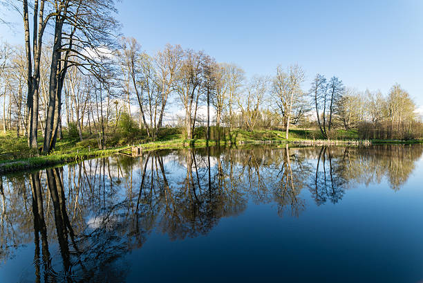 istock scenic reflections of trees and clouds in water 474705924
