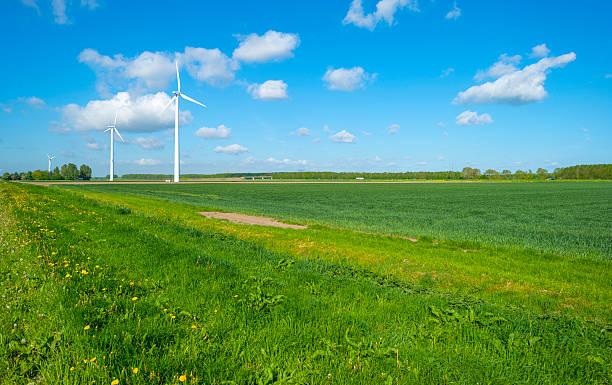 istock Wind turbines in a meadow in spring 474706434