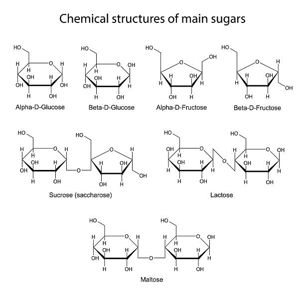 Chemical structures of main sugars: mono- and disaccharides vector art illustration