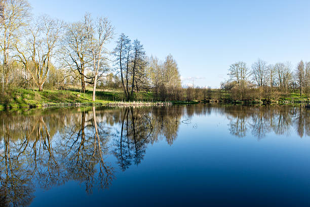 istock scenic reflections of trees and clouds in water 474706756