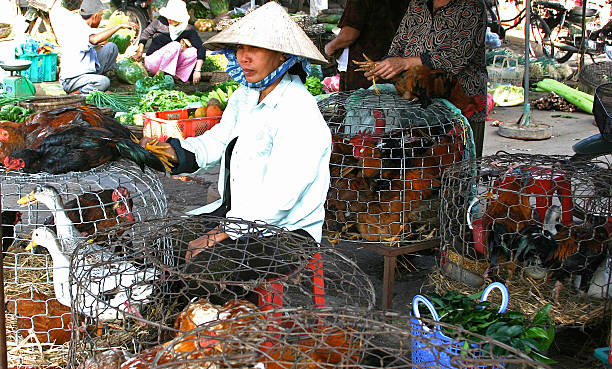 vender patos em hue - vietnam market asia bird - fotografias e filmes do acervo