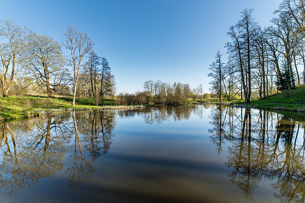 istock scenic reflections of trees and clouds in water 474709964