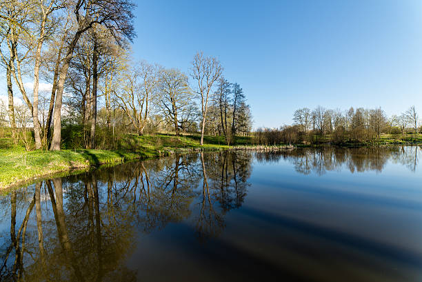 istock scenic reflections of trees and clouds in water 474709966
