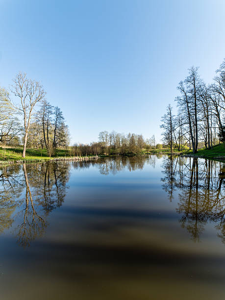 istock scenic reflections of trees and clouds in water 474709968
