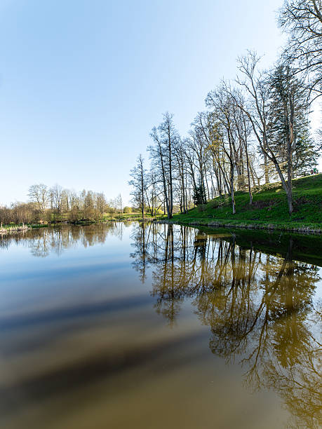 istock scenic reflections of trees and clouds in water 474709970