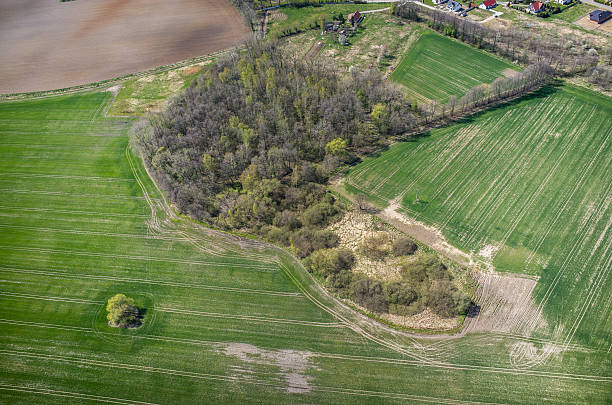 istock Aerial view of the field 474710160